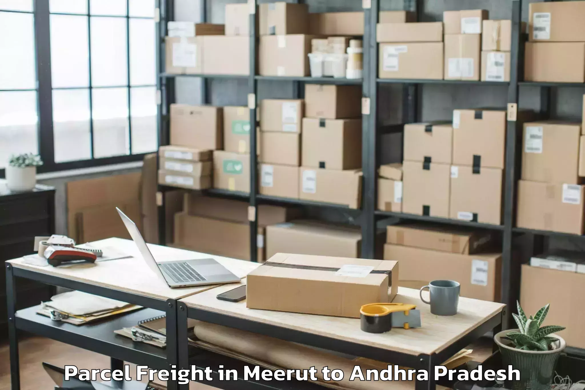 Meerut to Peapully Parcel Freight